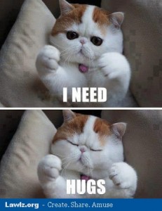 Cute cat with big eyes wants a hug